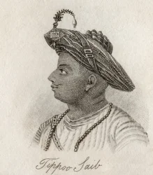 Tippoo-Saib